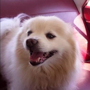 Meet your Posher, Lori